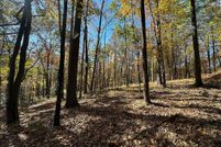 Property for sale in Gilmer County, Georgia