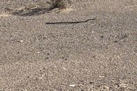 Property for sale in Mohave County, Arizona