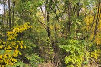 Lakefront Property for sale in Will County, Illinois