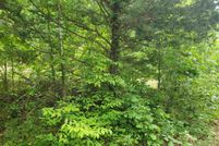 Undeveloped Land for sale in Sharp County, Arkansas