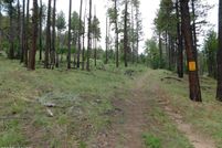 Property for sale in Apache County, Arizona