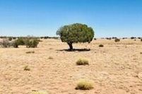 Property for sale in Apache County, Arizona