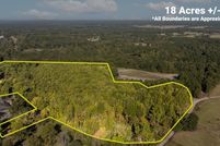 Undeveloped Land for sale in Panola County, Texas