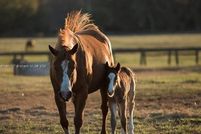 Property for sale in Palm Beach County, Florida