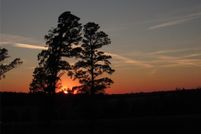 Property for sale in Upshur County, Texas