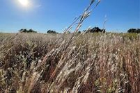 Property for sale in Van Zandt County, Texas