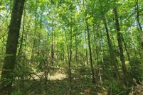 Lakefront Property for sale in Geneva County, Alabama
