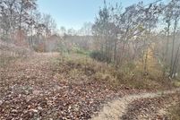 Undeveloped Land for sale in Boone County, West Virginia