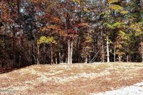 Undeveloped Land for sale in Hickory County, Missouri