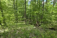 Undeveloped Land for sale in Manistee County, Michigan