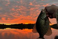 Property for sale in Saint Louis County, Minnesota