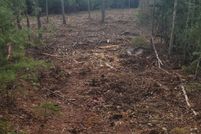 Undeveloped Land for sale in Penobscot County, Maine