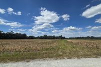 Undeveloped Land for sale in Bladen County, North Carolina