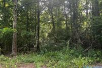 Property for sale in Morgan County, Alabama