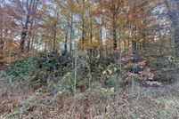 Property for sale in Cocke County, Tennessee