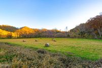 Property for sale in Lee County, Virginia