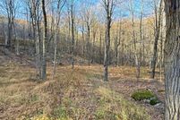 Undeveloped Land for sale in Grant County, West Virginia