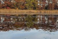 Property for sale in Berrien County, Michigan