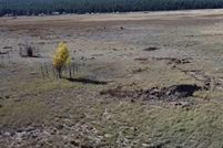 Undeveloped Land for sale in Coconino County, Arizona