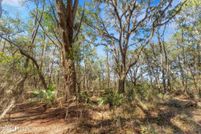 Property for sale in Clay County, Florida