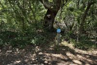 Property for sale in Brunswick County, North Carolina