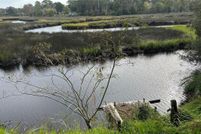 Property for sale in Duval County, Florida