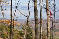 Property for sale in Scott County, Tennessee