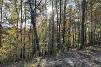 Undeveloped Land for sale in Tuscaloosa County, Alabama