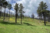 Property for sale in San Miguel County, New Mexico