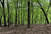 Undeveloped Land for sale in Pickens County, Georgia