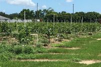 Property for sale in Miami-Dade County, Florida