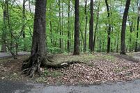 Property for sale in Pickens County, Georgia