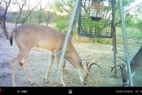 Property for sale in Brown County, Texas