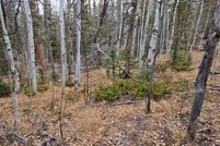 Property for sale in Park County, Colorado