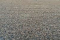 Property for sale in Nueces County, Texas