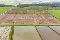 Property for sale in Acadia Parish, Louisiana