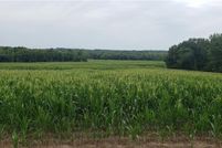 Undeveloped Land for sale in Monroe County, Missouri