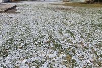 Property for sale in Hamilton County, Iowa