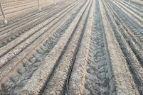 Property for sale in Collier County, Florida