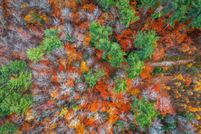 Undeveloped Land for sale in Windham County, Vermont