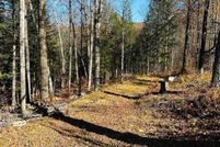 Undeveloped Land for sale in Windham County, Vermont