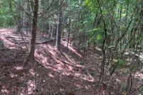 Undeveloped Land for sale in Harris County, Georgia