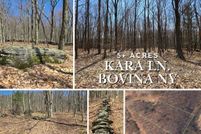 Undeveloped Land for sale in Delaware County, New York