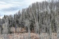 Property for sale in Park County, Colorado