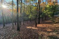 Property for sale in Fannin County, Georgia