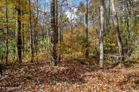 Property for sale in Monroe County, Tennessee