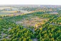 Undeveloped Land for sale in Lamar County, Texas