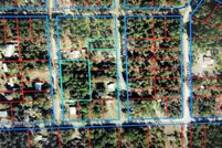 Undeveloped Land for sale in Levy County, Florida