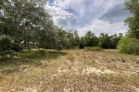 Undeveloped Land for sale in Hernando County, Florida