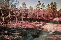 Property for sale in Levy County, Florida